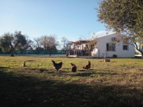 Casa de Campo Los Manueles Ideal Perros Pet Friendly Gójar
